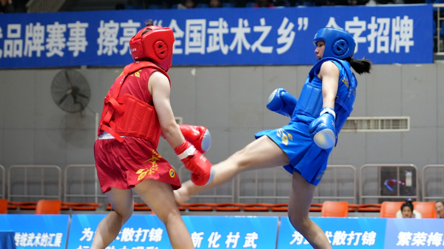 流量狂欢下的文化失语：谁来为传统武术发声？